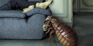 Подробнее о статье Что делать, если жилое помещение оккупировали насекомые?